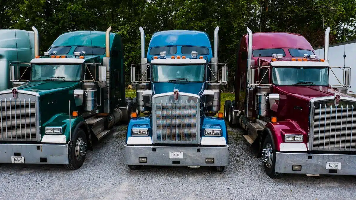 transport  international